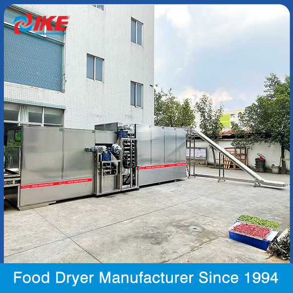 IKE pet food production line large capacity shrimp feed dryer machine production line