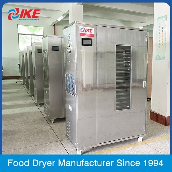 IKE manufacturers hot sale fruit and vegetable processing dryer commercial heat pump dryer