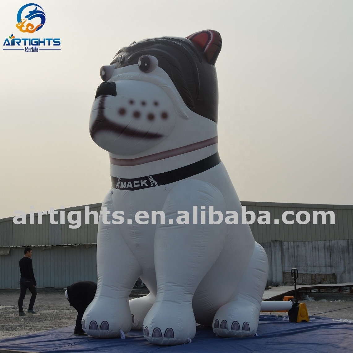 Airtight hot sale inflatable pet outdoor weather resistant giant inflatable dog balloon