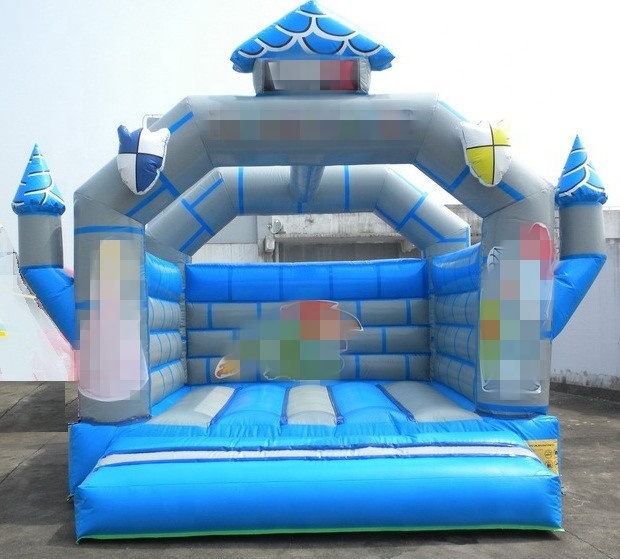 Hot Sale to Germany Durable PVC Commercial Inflatable Jump Castle