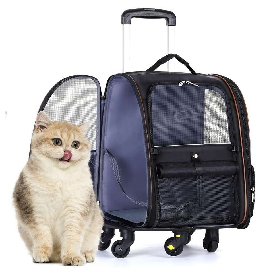 Cat Carrier Backpack Expandable Extra Large Travel Pet Backpack Adjustable Pet Bag Small Dog Cat  Carrying Backpack