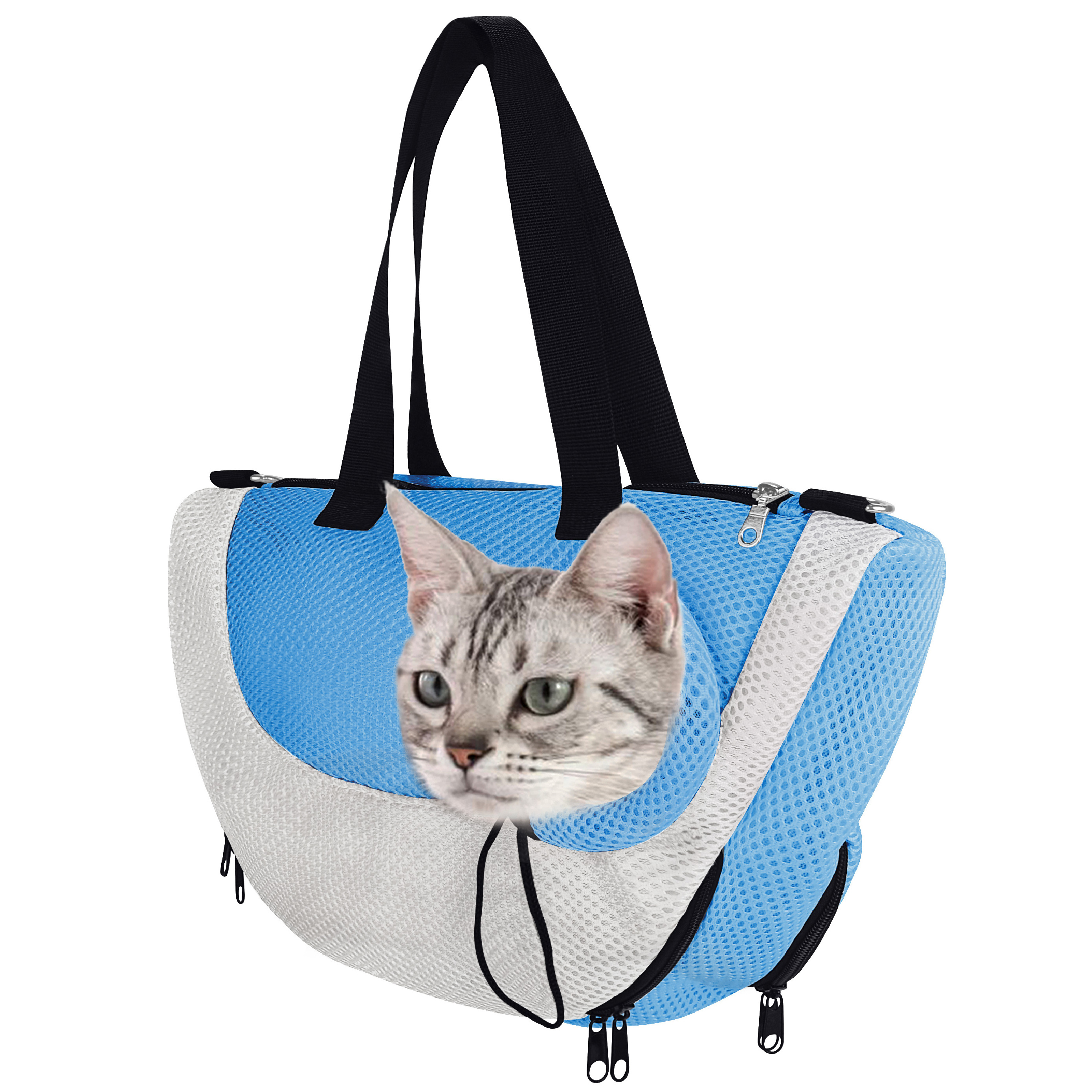 Hongju 2023 New Fashion Colorful Portable Clear View Bag Dog Cat House Travel Backpack Pet Carrier