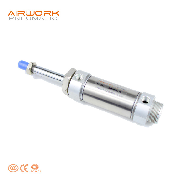 CM2 Stainless Steel 13mm bore Small Mini micro Round pneumatic piston 25 mm stroke Air Cylinder