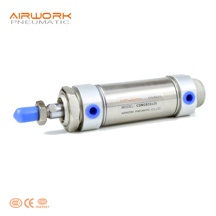 CM2 Stainless Steel 13mm bore Small Mini micro Round pneumatic piston 25 mm stroke Air Cylinder