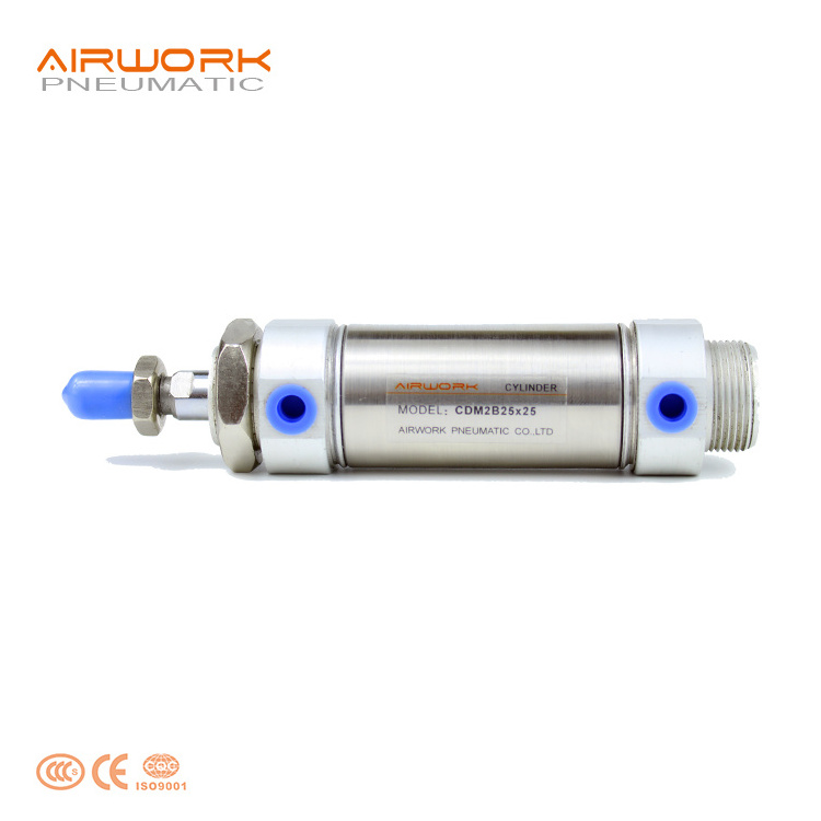 CM2 Stainless Steel 13mm bore Small Mini micro Round pneumatic piston 25 mm stroke Air Cylinder