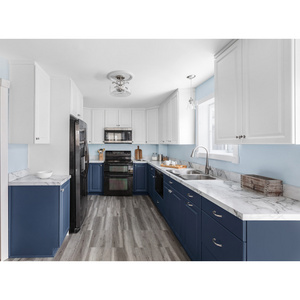 Modern Blue and White Shaker Kitchen Cabinets from China Apartment-Style with MDF Carcase and Essential Accessories