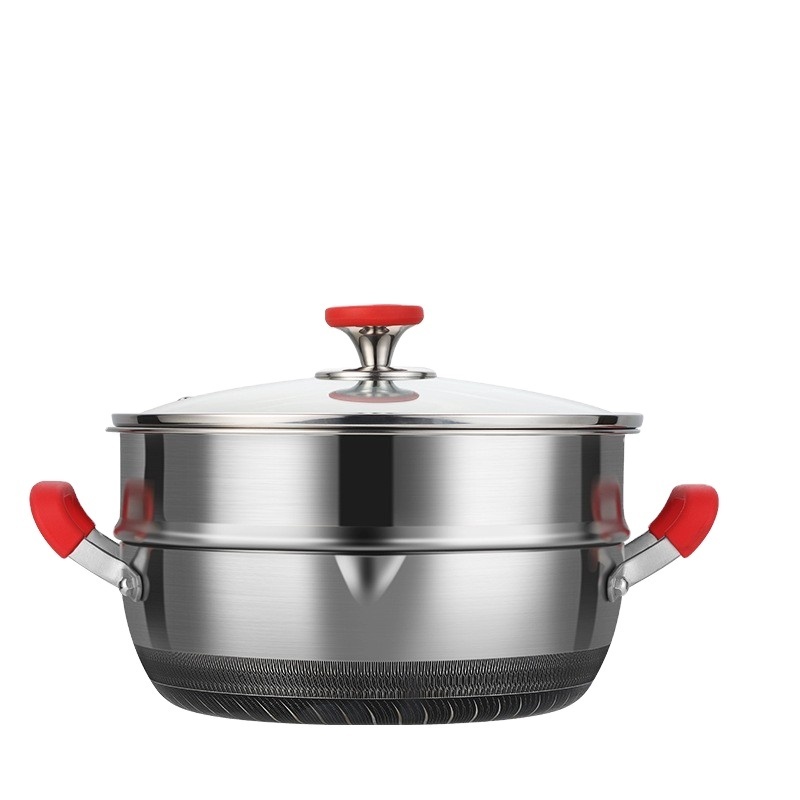 Advanced 304 Stainless Steel Pot with Double Ear