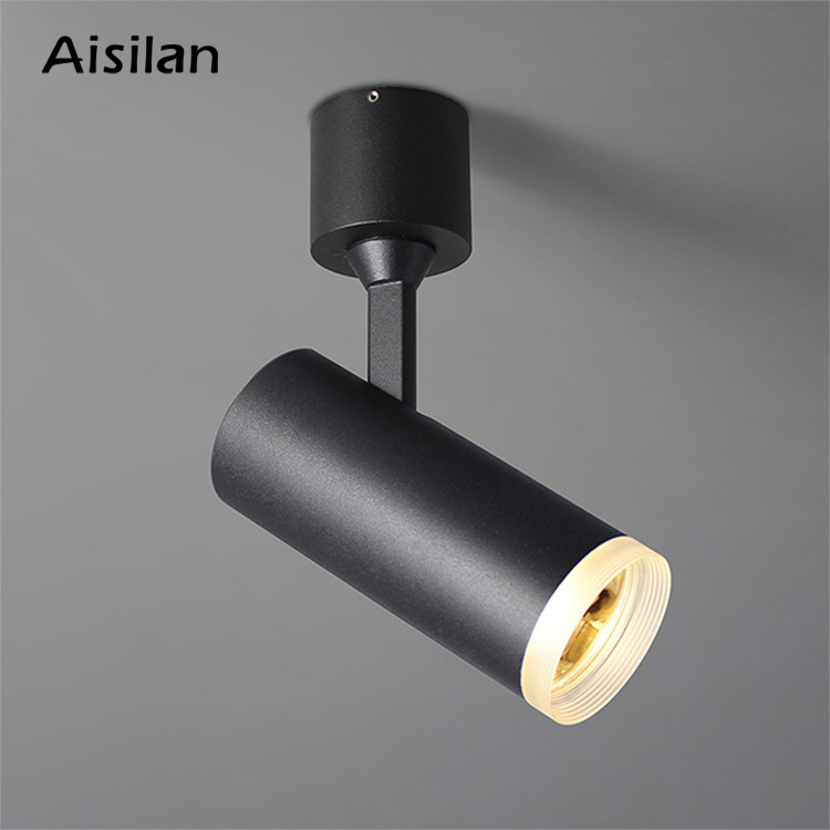 Aisilan hight quality modern Living room black double head Ceiling rotatable beam COB LED downlight Spotlight