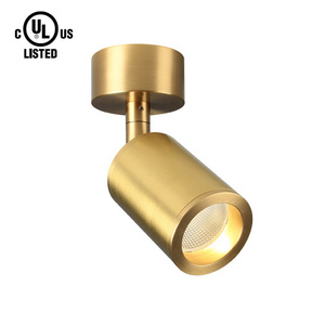 Aisilan Surface Mounted gallery museum restaurant kitchen Copper brass Adjustable LED spotlight ceiling light