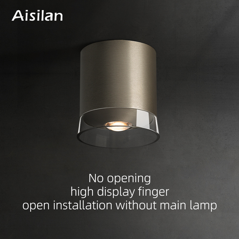 Aisilan hotel home modern lens Brushed nickel led surface mounted fitting ceiling light housing downlight fixture