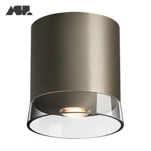 Aisilan home office modern lens Brushed nickel cob led surface ceiling downlight led spot hot selling down light