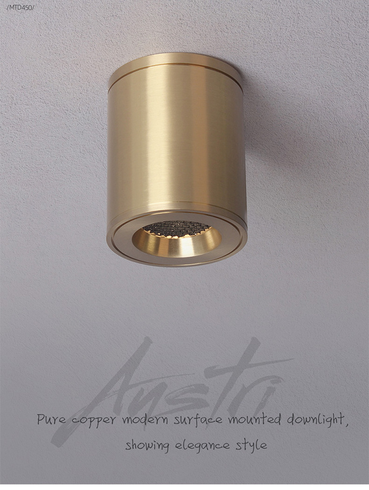 Aisilan nordic ceiling honeycomb louvre brushed gold color frame brass copper cylinder cob LED surface mounted downlight