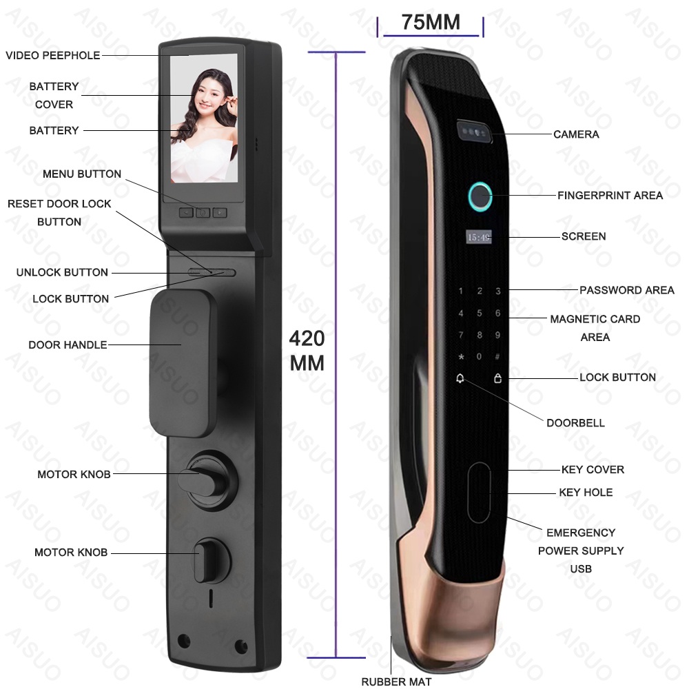 Factory Direct Sale Face Recognition Lock With Camera WIFI APP lock door smart home Card Password Key Automatic smart gate lock