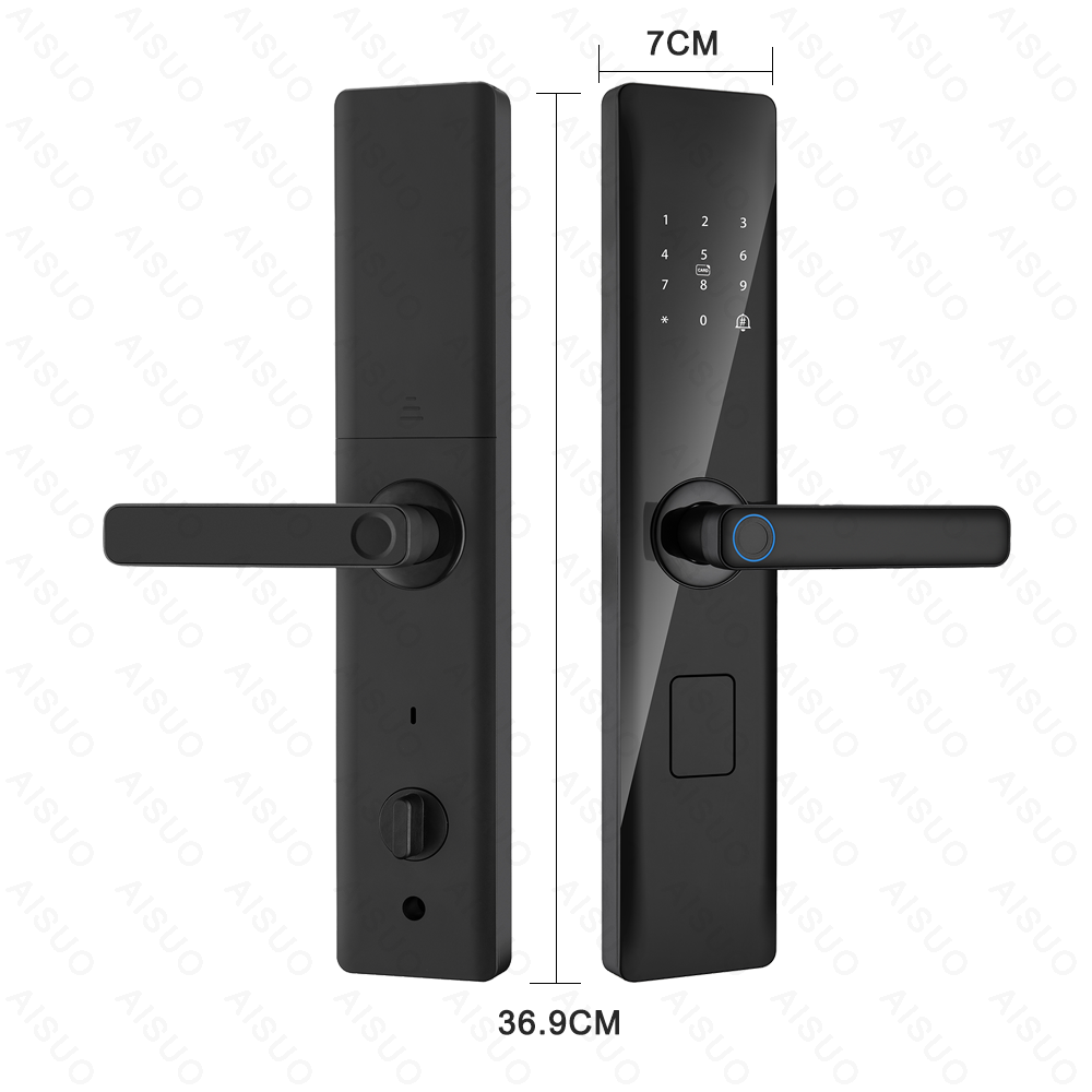 Aisuo Face Recognition Handle Intelligent Electronic Magnetic Security Fingerprint Keyless Ttlock Tuya Digital Door Smart Lock