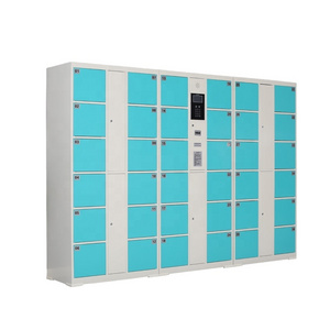 High Quality Fingerprint Storage Electronic Steel Locker Storage Bag Clothes Lockers for Beach/Gym Locker