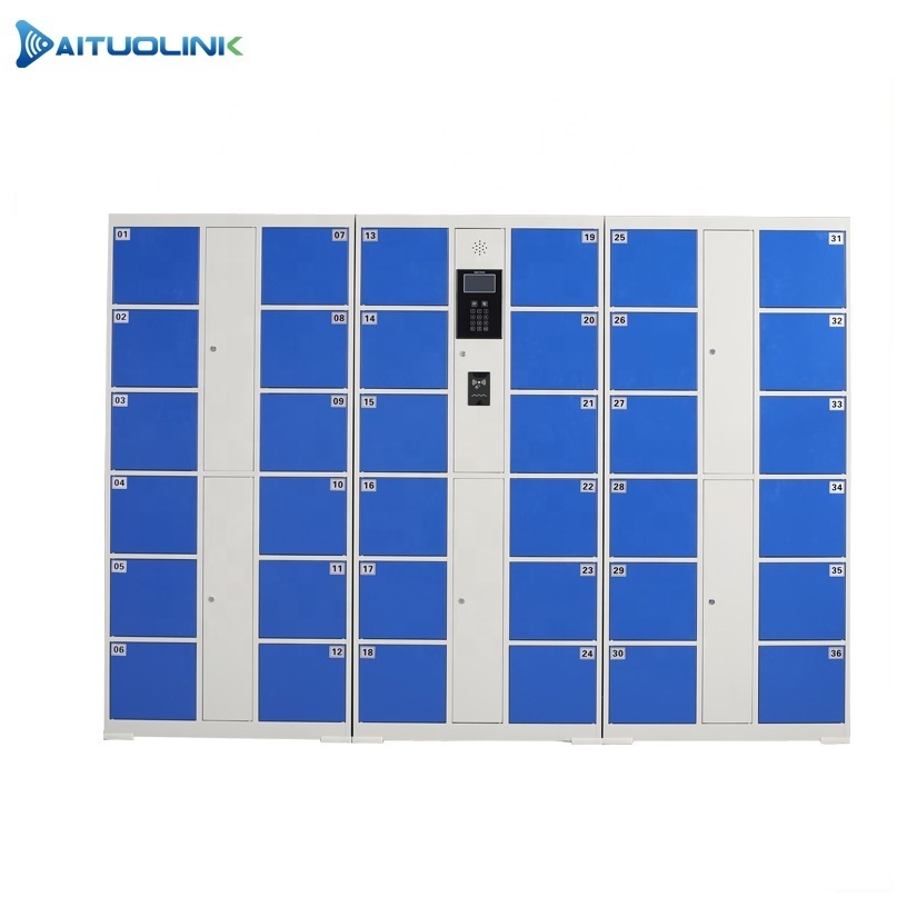 High Quality Fingerprint Storage Electronic Steel Locker Storage Bag Clothes Lockers for Beach/Gym Locker