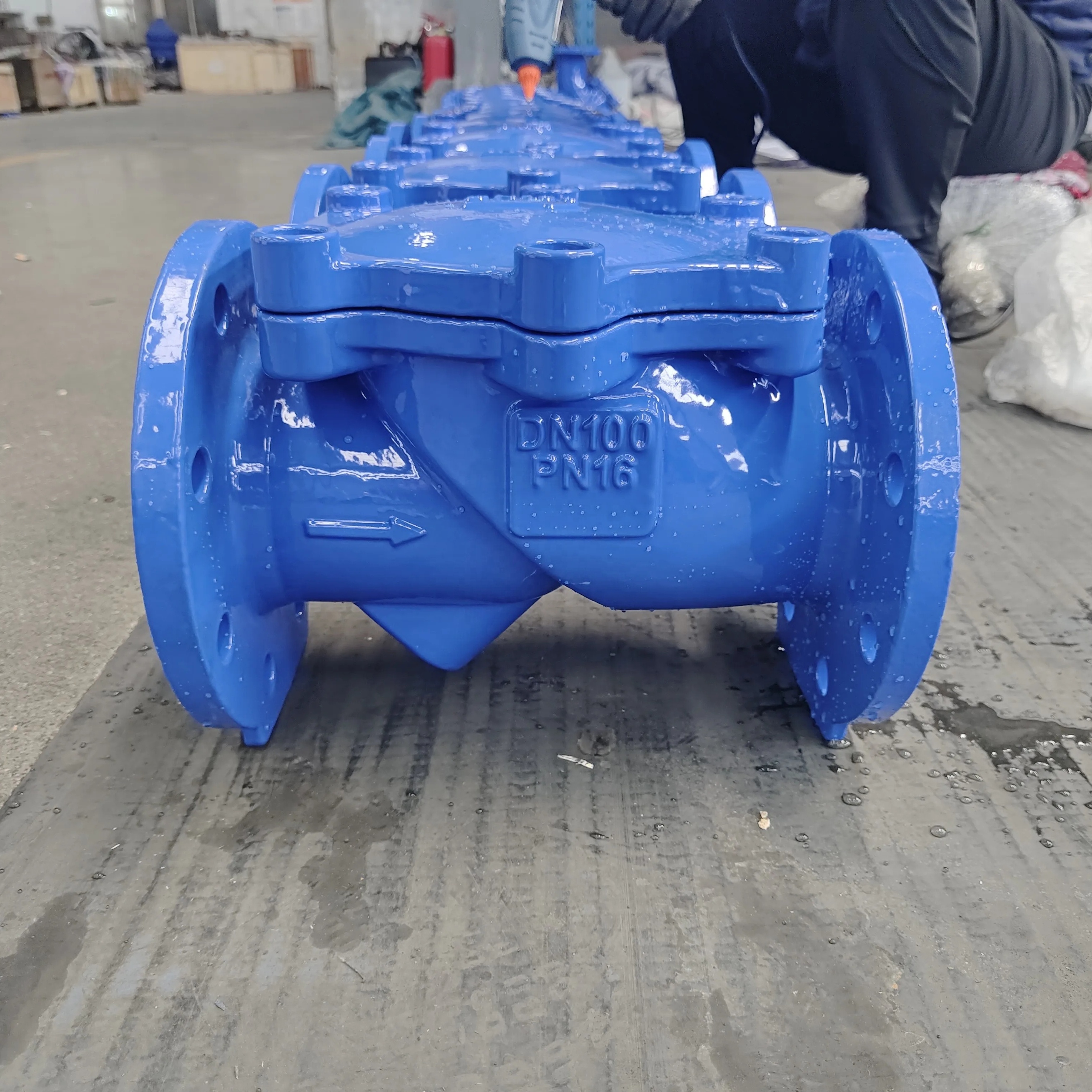 800 pornd grade check valve swing check valve