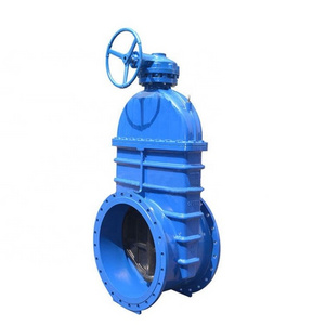 Bevel Gear Blue Handle 50MM Water Gate Valve