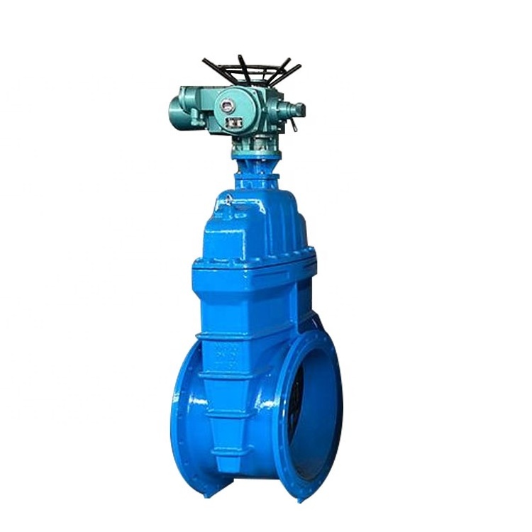 Electric Slide Actuated Resilient Seated Stem Wedge Gate Valve