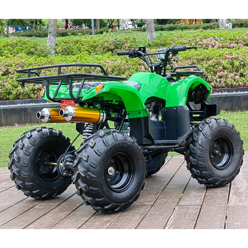 125CC quad bike 4 wheeler ATV 4x4 Driving for adults