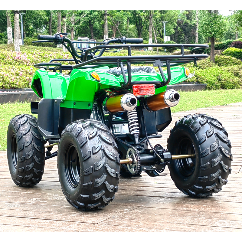 125CC quad bike 4 wheeler ATV 4x4 Driving for adults