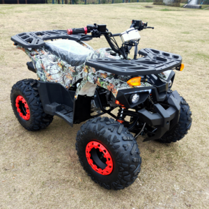 high standard Fashion  110cc 125CC quad bike 4 wheeler ATV Driving for adults