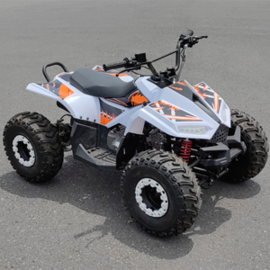 Mini Quad ATV 125cc Kids Quad Bike ATV