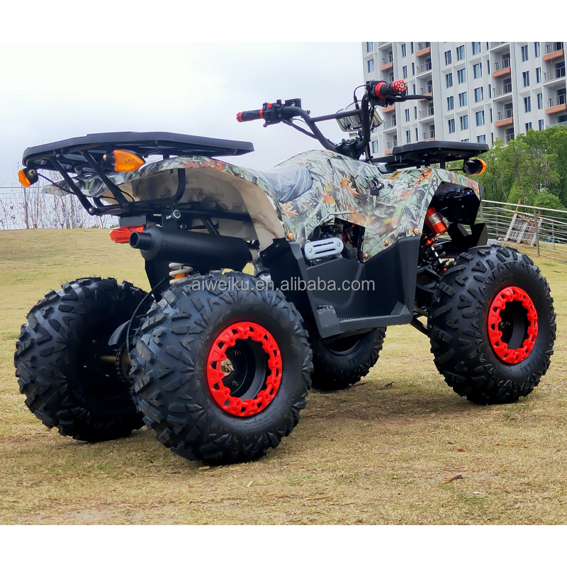 high standard Fashion  110cc 125CC quad bike 4 wheeler ATV Driving for adults