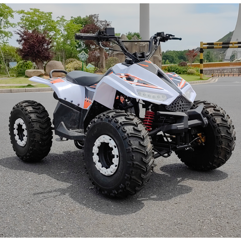 Mini Quad ATV 125cc Kids Quad Bike ATV