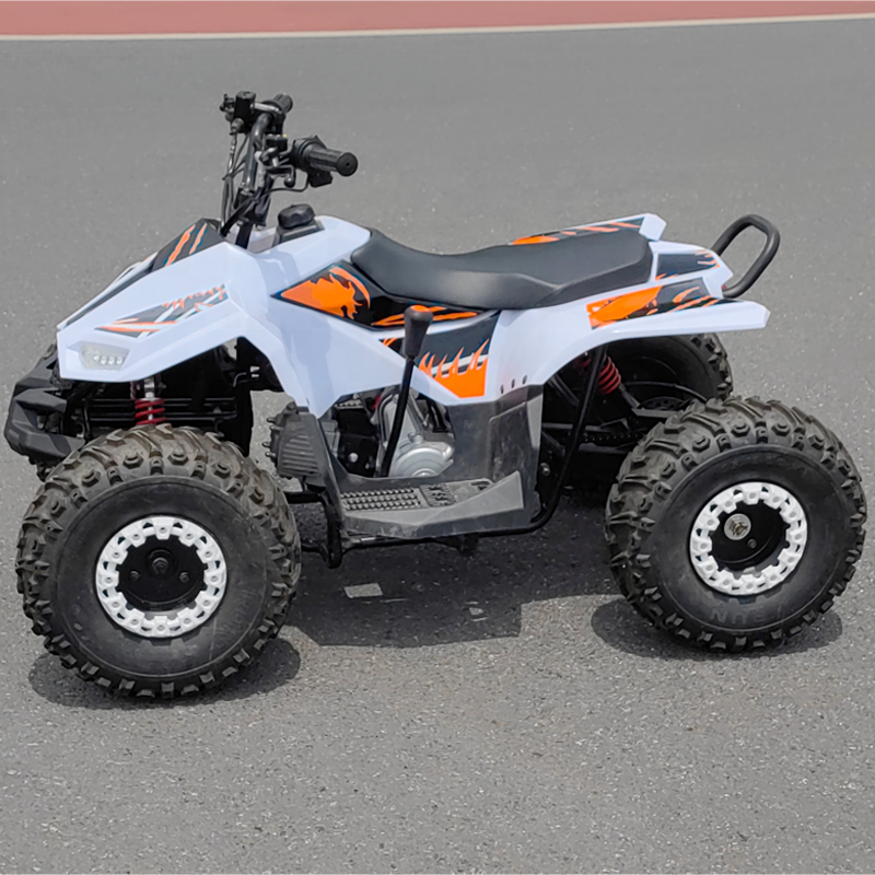 Mini Quad ATV 125cc Kids Quad Bike ATV