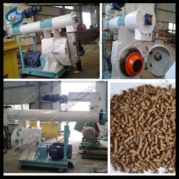 ring die livestock feed pellet mill machine,shrimp pellet feed mil