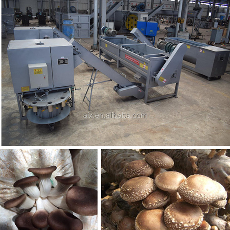 Best price mushroom packaging machine/oyster mushroom machine/mushroom bagging machine