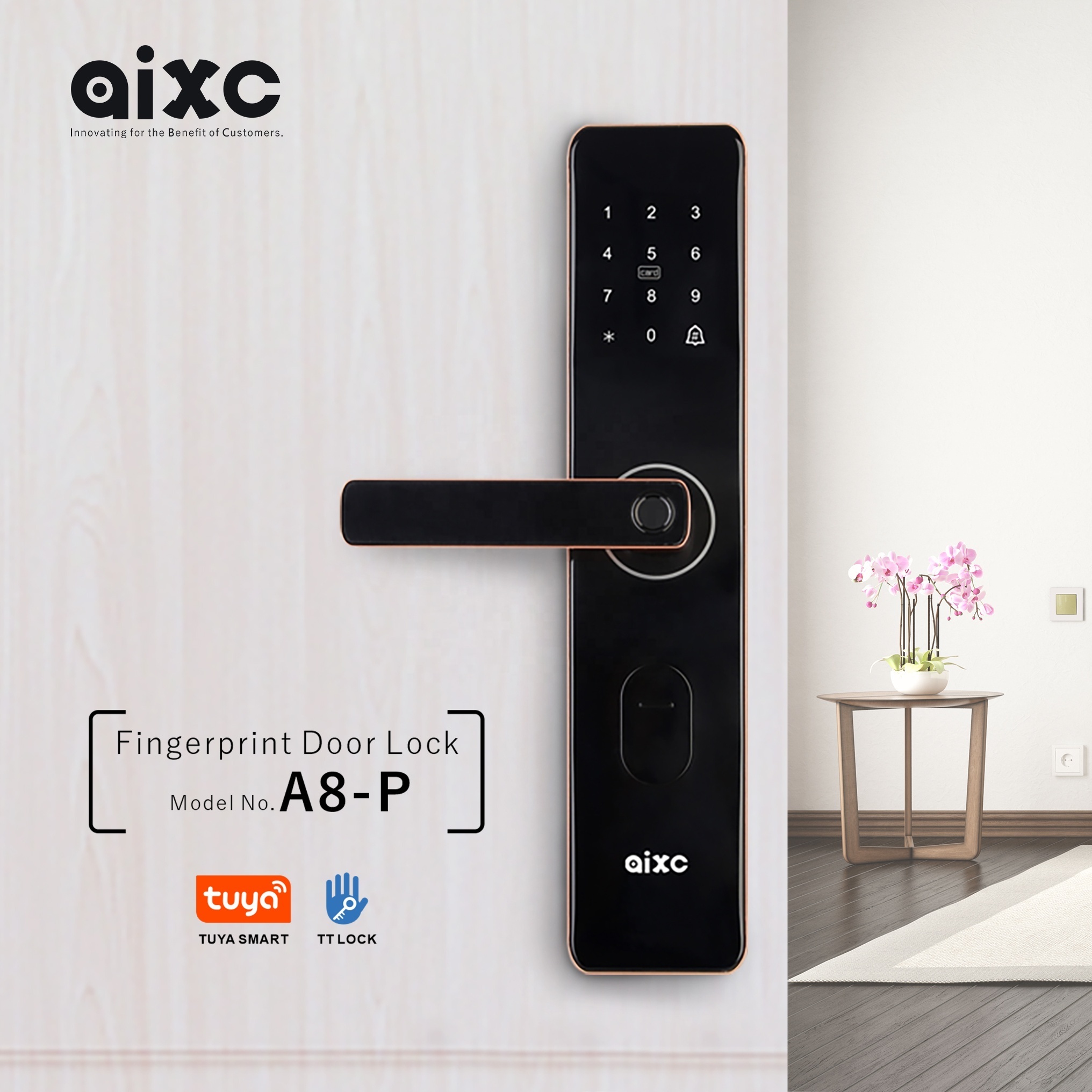 AIXC Wifi TTlock App Smart Door Lock Biometric Lock Fingerprint Door Handle Digital Keyless Lock