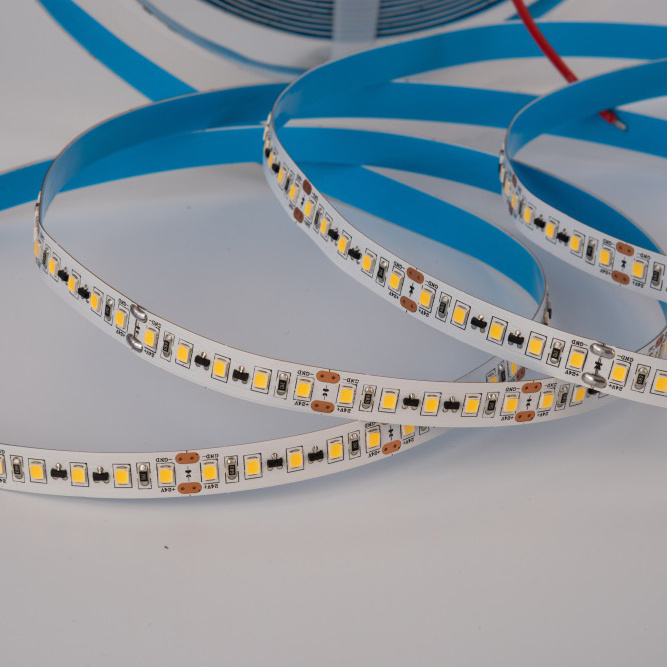 High brightness multi color led white strip light flexible 24V 2835 120LED 20M  IC design 10mm  IP20 ceiling led light strip