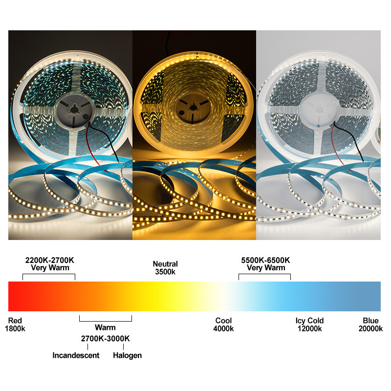 High brightness multi color led white strip light flexible 24V 2835 120LED 20M  IC design 10mm  IP20 ceiling led light strip