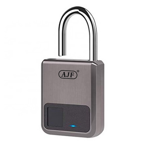 AJF Fingerprint Padlock,Smart Anti-Theft USB Charge Waterproof Padlock for Door,Safe,Bike,Gym Locker,Luggage Suitcase