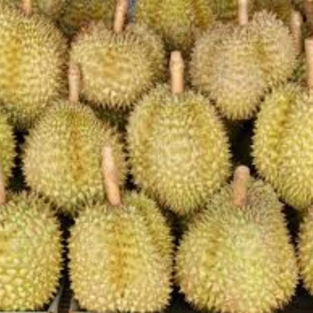 AjintaiZen AD Fresh Durians Frozen musang king durian & durian paste & freeze dried durian Zain AAA SWEET Style Packing Organic