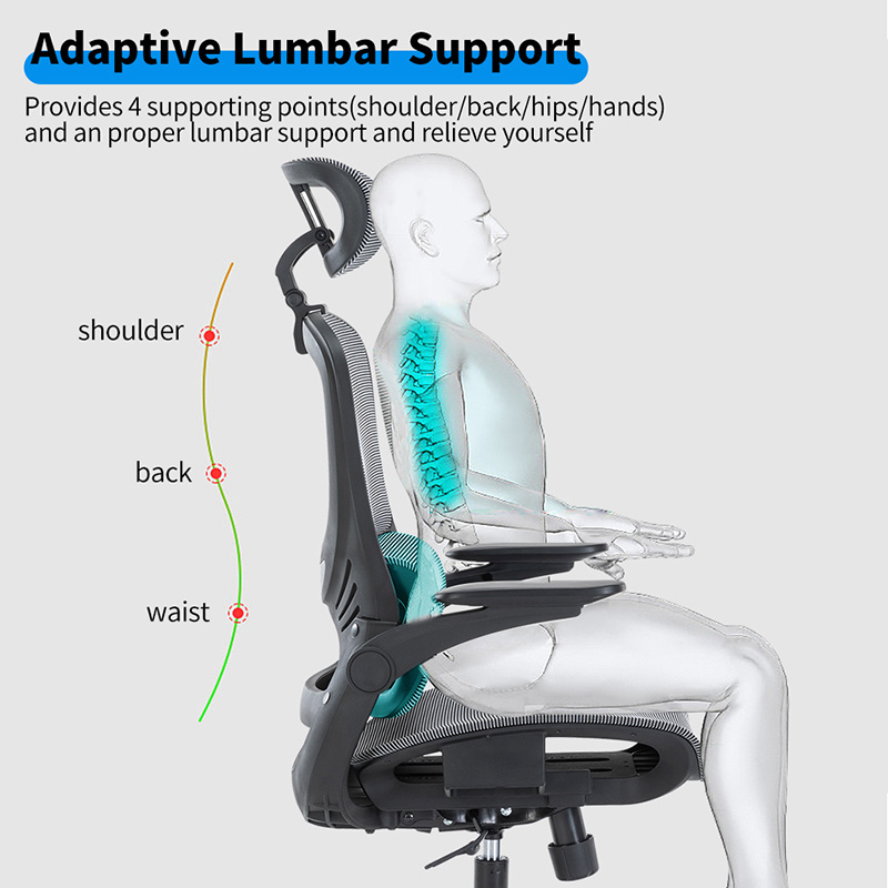 Ergonomic Office Chair, Home Office Desk Chair with Adjustable Headrest & Lumbar Support