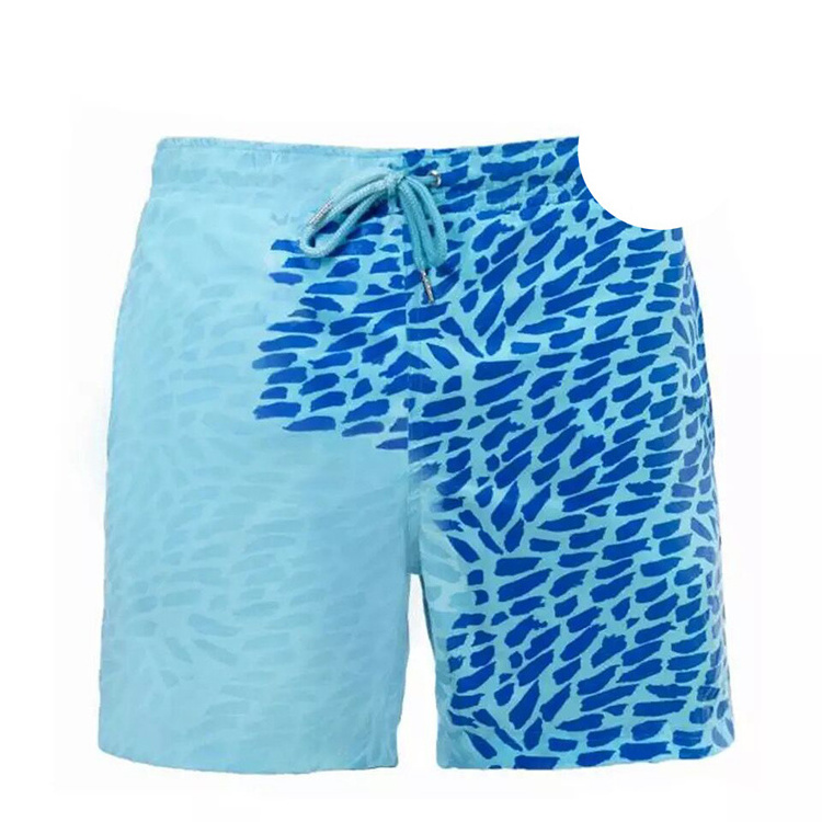 Custom Swimwear Men Quick Dry Color Changing Swimwear Shorts Swim Trunks For Men Custom logo swimming short's New Popular men