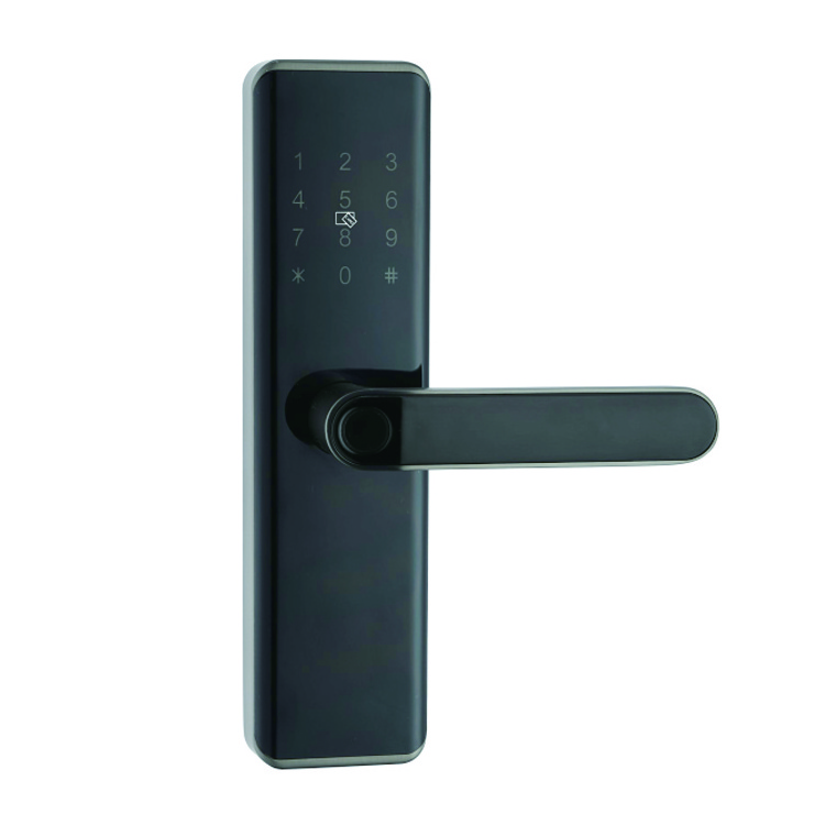 Akada Ttlock Interior Smart Blue&tooth Door Lock Electronic,Smart Lock Door Security Intelligent Fingerprint