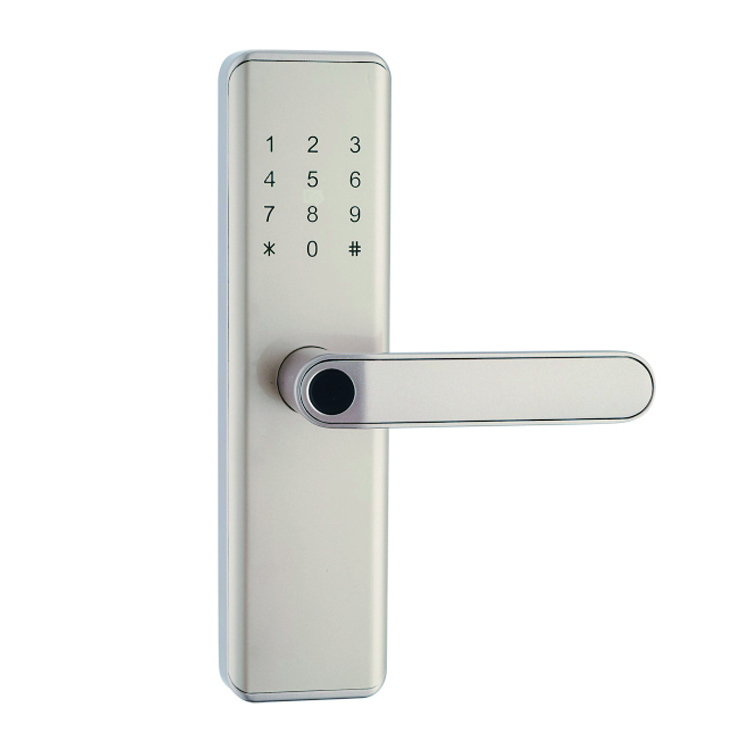 Akada Ttlock Interior Smart Blue&tooth Door Lock Electronic,Smart Lock Door Security Intelligent Fingerprint