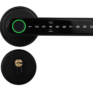 Smart Lock Handle with Fingerprint, Keypad, Key, Card Entry for Home Security - Biometric Door Lock System Access Control