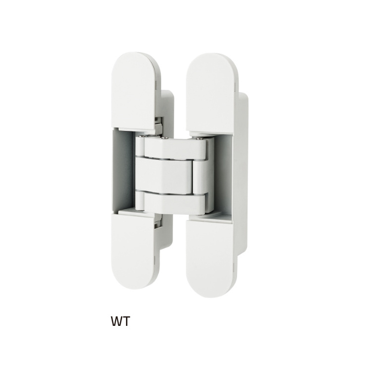 AKADA invisible hidden pivot door hinges heavy duty 3d door hinges 100kg for hidden interior doors