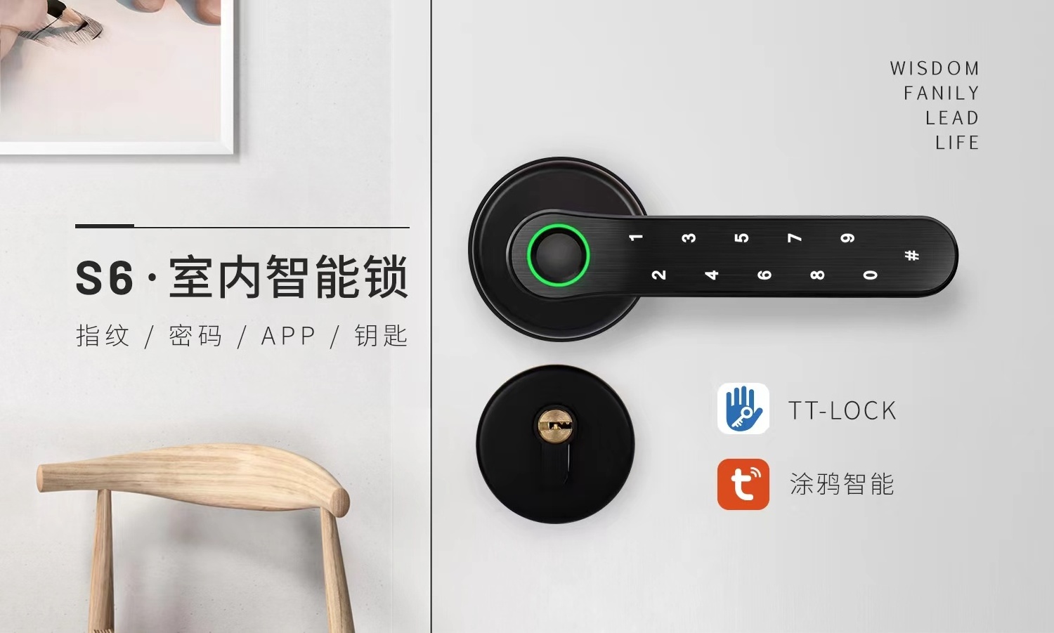 Smart Lock Handle with Fingerprint, Keypad, Key, Card Entry for Home Security - Biometric Door Lock System Access Control