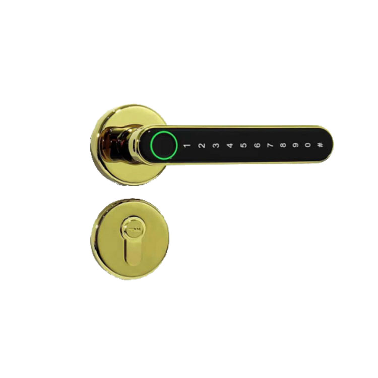 AKADA smart door lock fingerprint smart lock door tuya