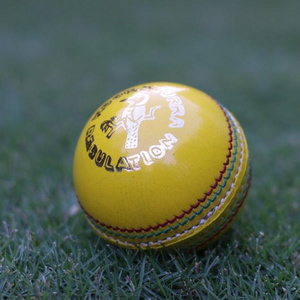 Cricket Balls, Soft Balls Kookaburra Cricket Indoor Balls, Yellow Leather PK AK International 112 KBY0022