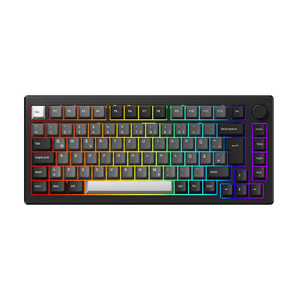 AKKO MOD 007B HE ISO Magnetic Yellow Switches RGB Backlit Professional Gaming Keyboards