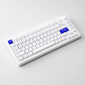 Akko MOD 007B PC 75% Layout Akko V3 Piano Pro Switches RGB Backlit Gaming Keyboard Mechanical