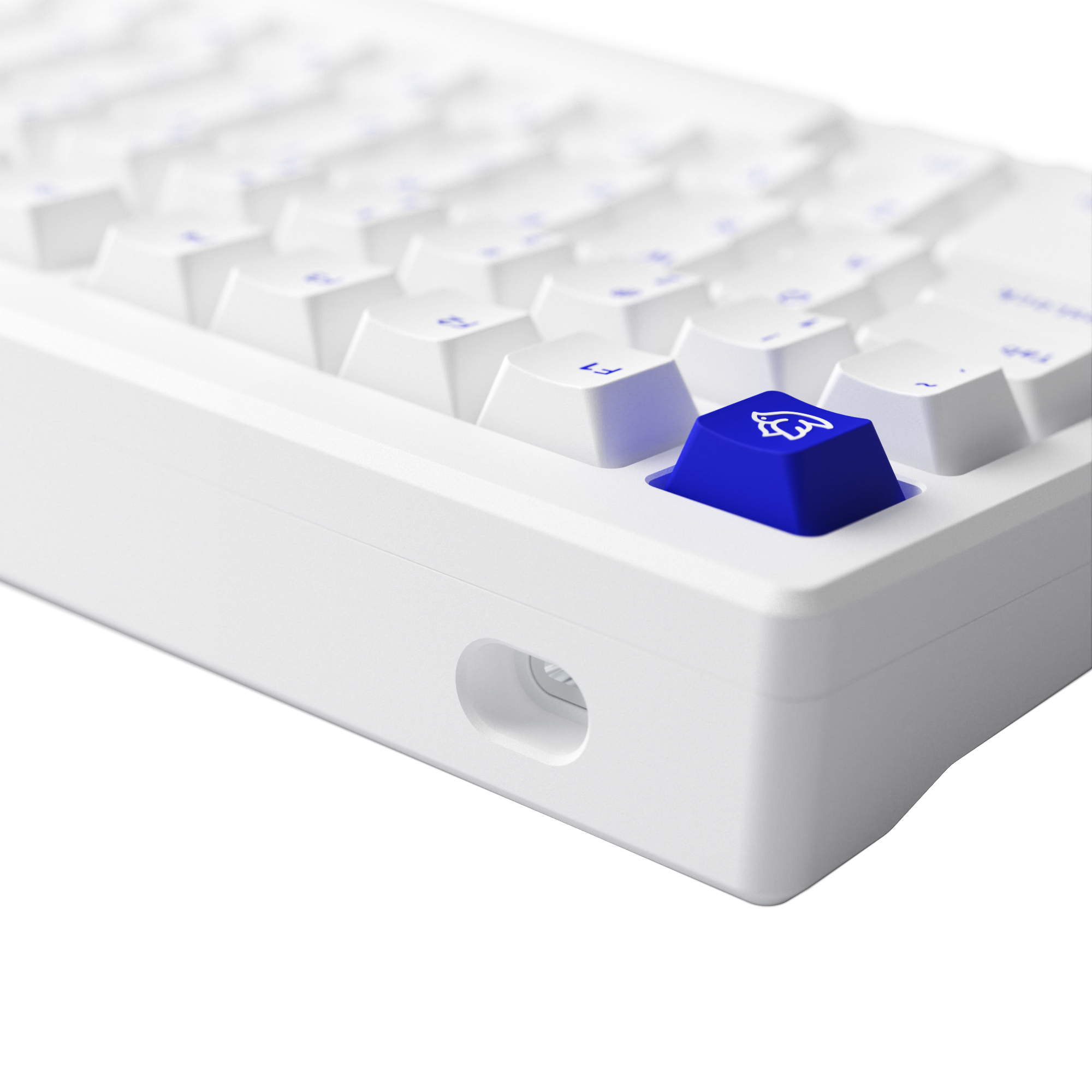 Akko MOD 007B PC Blue On White Cherry Profile Wireless US Layout Mechanical Keyboard Teclado Clavier