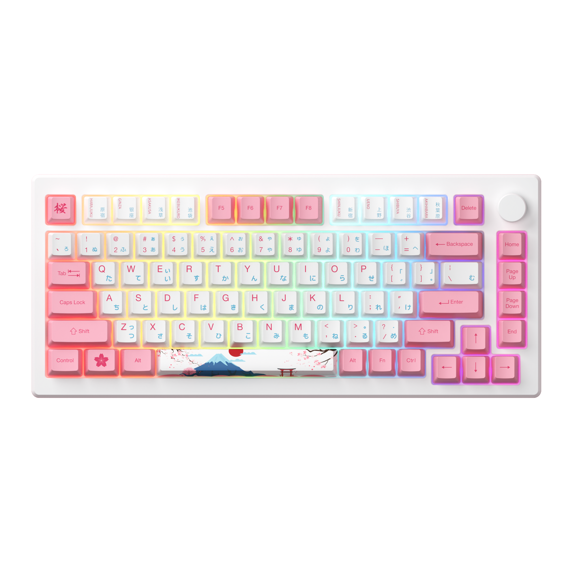 AKKO MOD 007B-HE PC Tokyo R2 Rapid Trigger Keyboard Magnetic Switches RGB Backlit Wireless Mechanical Keyboards